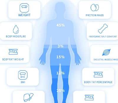 Oltre la scala: inbody vs xianku3d - la battaglia per il corpo intuizione negli spazi commerciali
